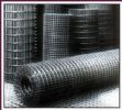 Galvanized Welded Wire Mesh